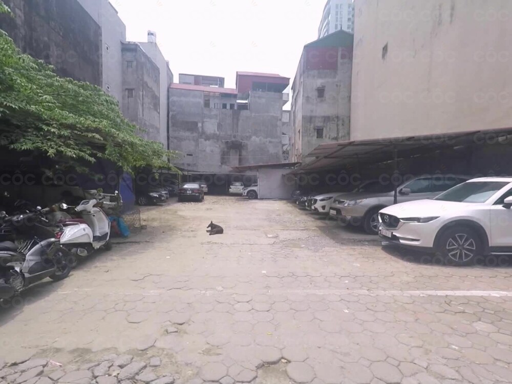 Bãi gửi xe ô tô - 82, Nguyễn Đình Hoàn, P. Nghĩa Đô, Q. Cầu Giấy, Tp. Hà Nội - Cốc Cốc Map